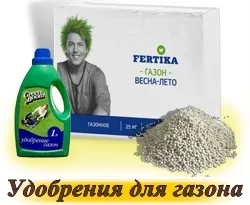 На трева - купуват семена в онлайн магазина 
