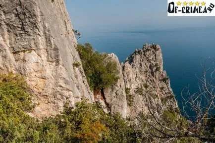 Планински Cat в Крим - къде и как да получите снимки и видеоклипове
