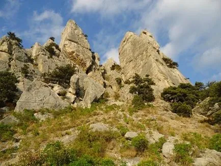 Планински котка в Simeiz, Остров Крим