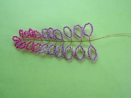 Wisteria топчета