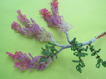 Wisteria топчета