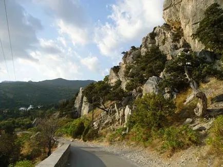 Планински котка в Simeiz, Остров Крим