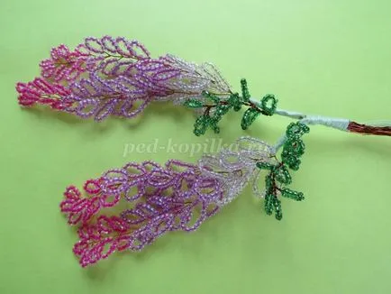 Wisteria топчета