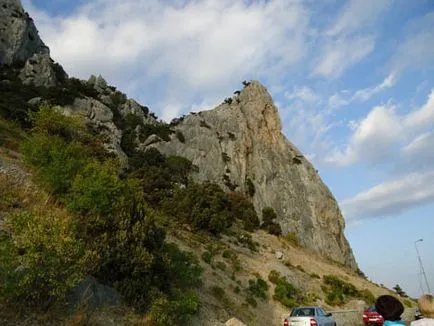 Планински котка в Simeiz, Остров Крим