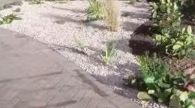 Чакъл градина със собствените си ръце, частна къща