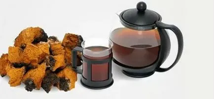 Chaga гъби полезни свойства и противопоказания
