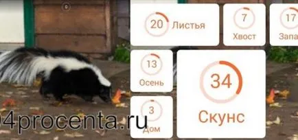 Игра 94 процента от отговорите на изображението до всички нива