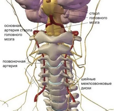 Herniated шийните прешлени симптоми, лечение