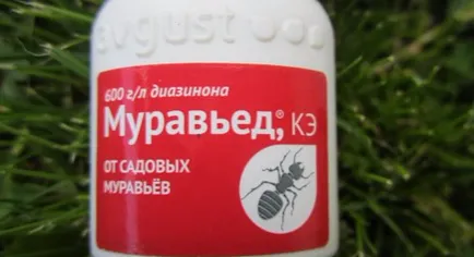 Инсектицид Мравояд инструкции за кандидатстване, описания, рейтинги (инсектициди) Инсектицид за инструкции Мравояд за работа, описание, мнения