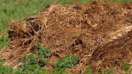 Тор в градината специално свински тор като тор