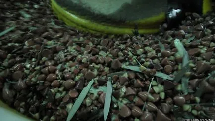 Как швейцарски армейски нож
