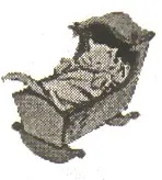A macska jött