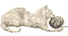 A macska jött