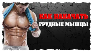 Как да се изгради четириглавия краката и прасците (крака) Как да се изгради четириглавия краката и прасците