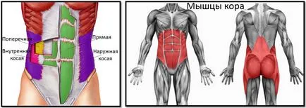 Как да се изгради пълна преса люлеещ ръководство