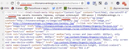 Как да започнете да разбирате условията, които се използват SEO-Schnick, създаване, популяризиране и заплатите на