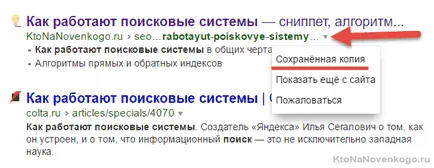 Как да започнете да разбирате условията, които се използват SEO-Schnick, създаване, популяризиране и заплатите на