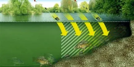 Как да хвана шаран, че по-добре захапка и каква стръв да се използва