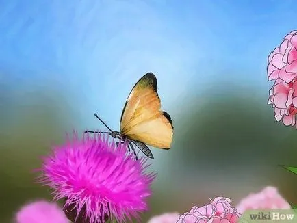 Улавянето пеперуди