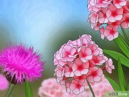 Улавянето пеперуди