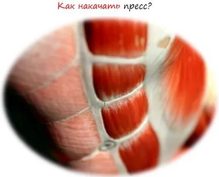 Как да се изгради пълна преса люлеещ ръководство