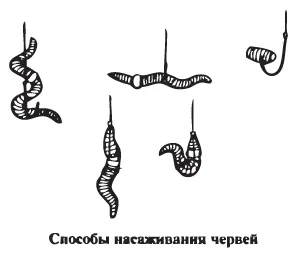 Като червей на куката пръчка (пръчка) Как да се придържаме червей на куката