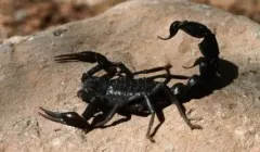 Както се нарича обрат склонове 