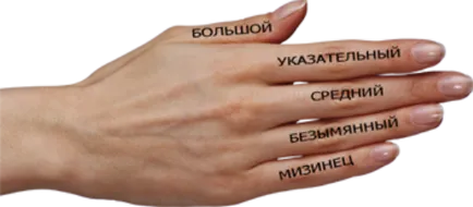 Как се наричат ​​пръстите