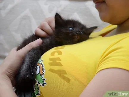 Как да се прегръщат котката