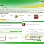 Как да платя задължението на държавата чрез Сбербанк онлайн