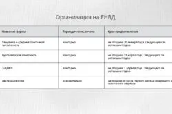 Как да плащат данък върху условната ООН (vmenenka)