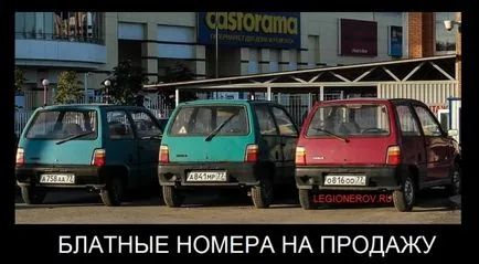 Как да получите красиви стаи на автомобили официално