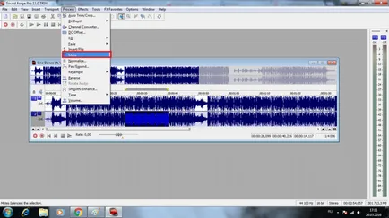 Как да използвате Sound Forge Pro 11 инструкция за начинаещи (използване) Как да използвате Sound Forge Pro 11 инструкция за начинаещи