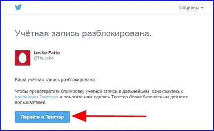 Как да използвате Twitter - съвети за използване на услугата (използване) Как да използвате Twitter - съвети за ползване на услугата