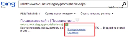 Как да видите сайта на страницата на кеша в Google, Yandex, Bing и (Yandex) Как да видите сайта на страницата на кеша в Google, Yandex, Bing и