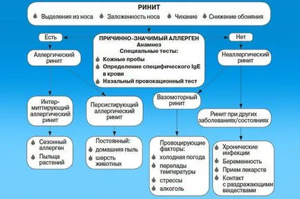 Как да се разбере и да се определи какво хрема при кърмачета - признаци и симптоми на сополи