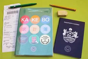 Как да запазим семейния бюджет - водене на екселски таблици, преносими компютри и др
