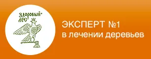 Как за лечение на дървета