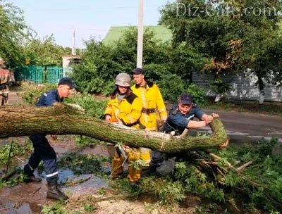 Как да се намали дърво Chainsaw - технологични анализ произведения