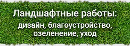 Как за лечение на дървета