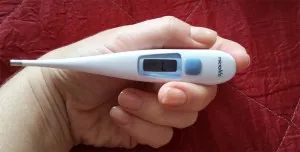 Jak hőmérséklete egy macska Jak hőmérséklete egy macska