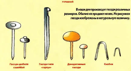 Как да забие нокти, майсторски (нокти) Как да забие нокти, магистър