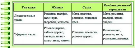 Как да пара за почистване на лицето или предната част на маската