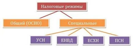 Как да се изчисли нетната печалба, с конкретни примери