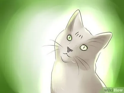 Как да се повиши котенца