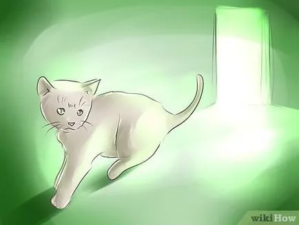 Как да се повиши котенца