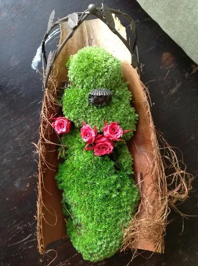 Как да си направим градина на мъх с ръцете си, да направи майсторски клас градина от мъх