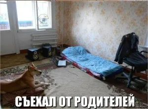 Как да кажа на родителите, че аз съм се движат