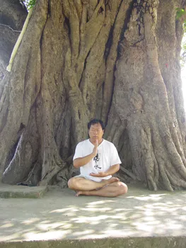 Zhong Yuan Qigong meg