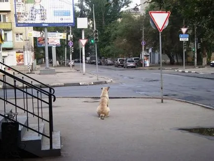 Milyen idő tanítás helyett gyógymód